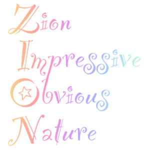 Zion Colourful - Stainless Bottle Design