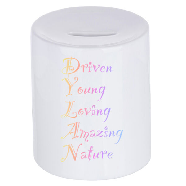 Dylan Colourful - Money Box Thumbnail