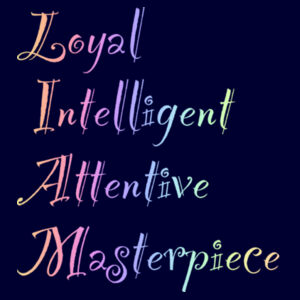 Liam Colourful - Apron Design